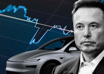 Elon Musk Cuts Government Role Amid Tesla Profit Plunge