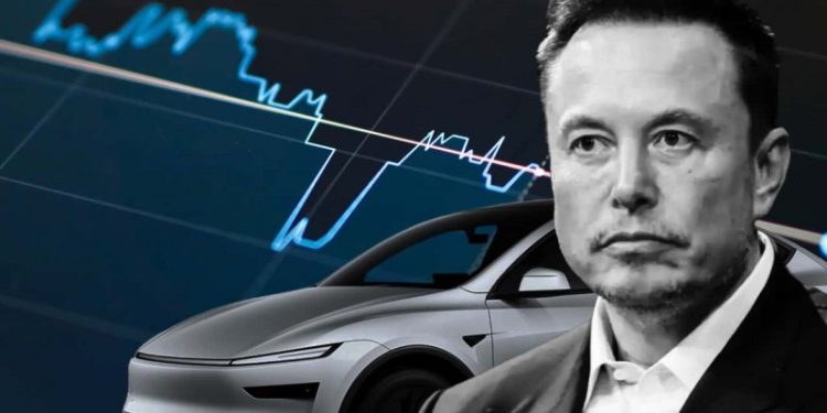 Elon Musk Cuts Government Role Amid Tesla Profit Plunge