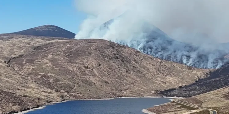 Deliberate Acts Spark Majority of 214 Wildfires in Northern Ireland, Say Firefighters