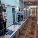 UK Government to Review Body Armour for Prison Staff After Terror Attack at Frankland Prison
