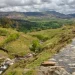 Two women found dead in Eryri National Park