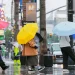 Travel Insurance Expands to Cover Rain, Heatwaves, and Inconveniences