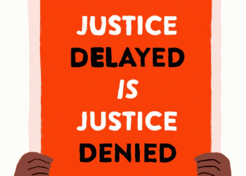 Justice Delayed for Diane After Fatal Driving Incident