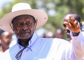 Kampala — Transparent Vote Keeps Museveni in Power Fairly